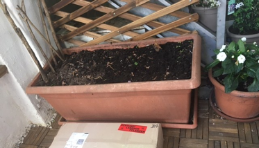 shapeimage_25_link_0