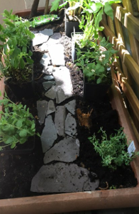 shapeimage_25_link_0