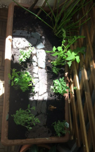 shapeimage_25_link_0